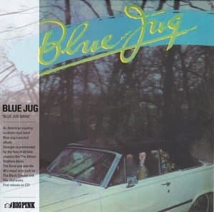 Blue Jug