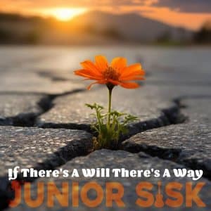 If Theres a Will Theres a Way