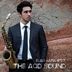 The Acid Sound