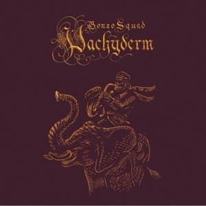 Pachyderm