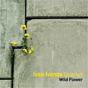 Wild Flower