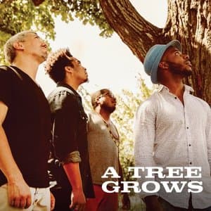 A Tree Grows