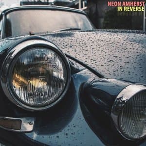 In Reverse