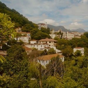 A Vida De Antonio