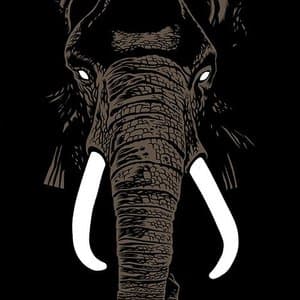 Dont Buy Ivory Anymore! The Music of Henri Texier