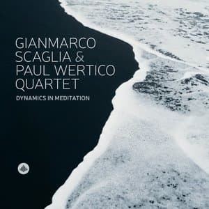 Dynamics in Meditation