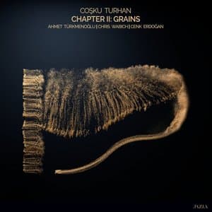 Chapter II: Grains