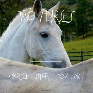 Two Horses