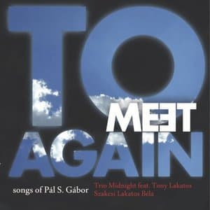 To Meet Again (Songs Of Pal S. Gabor)