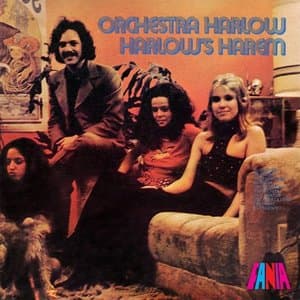 Harlows Harem