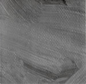 The Grey