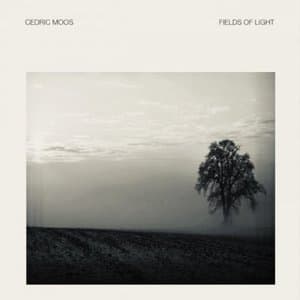 Fields of Light