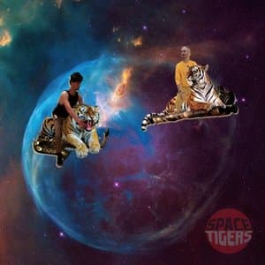 Real Sofa Techno Jazz Surfers