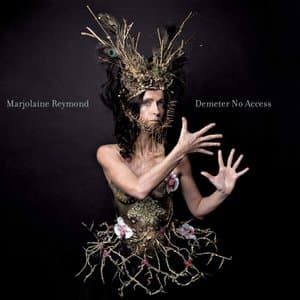 Demeter No Access