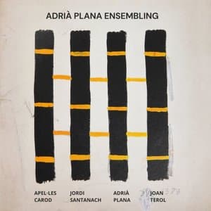 Adria Plana Ensembling