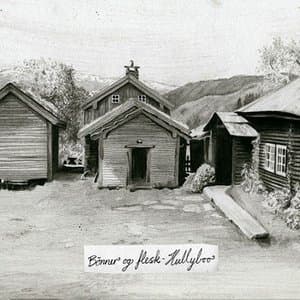Bonner Og Flesk