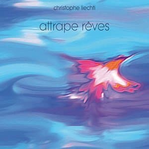 Attrape reves