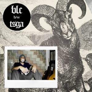 Blc/Tsga