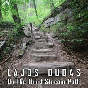 On the Third Stream Path