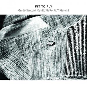 Fit To Fly