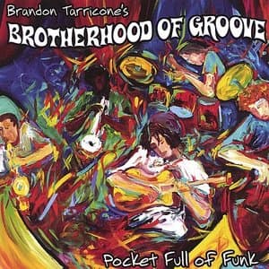 Pocket Full of Funk