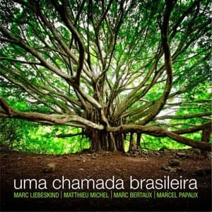 Uma Chamada Brasileira