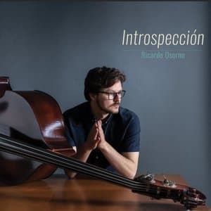 Introspeccion