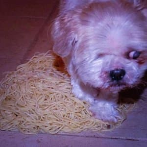 Bad Spaghetti