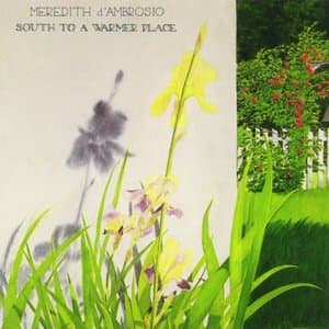 South To A Warmer Place