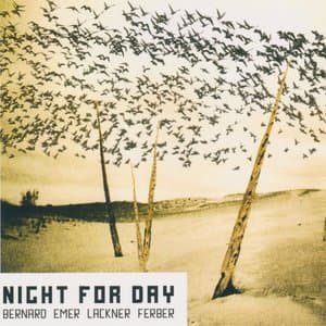 Night for Day
