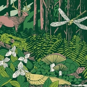 Slugish Ensemble: An Eight Out of Nine