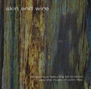 Skin And Wire: Play The Music Of Colin Riley
