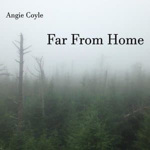 Far from Home