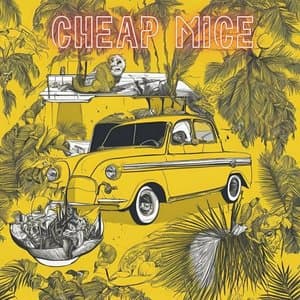 Cheap Mice
