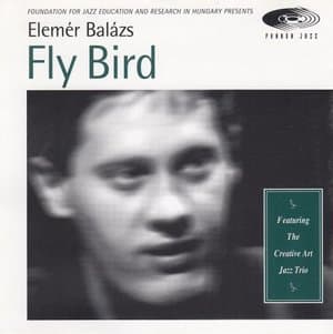 Fly Bird