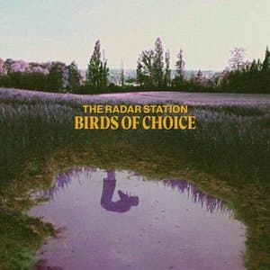 Birds Of Choice
