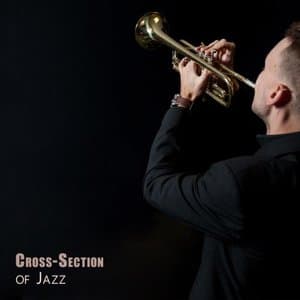 Cross-Section of Jazz: Instrumental Music in Various Jazz Styles