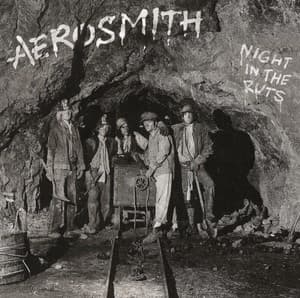 Night In The Ruts