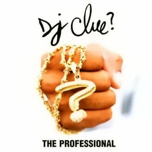The Professional