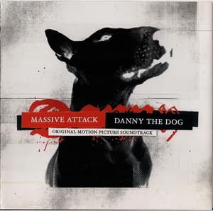 Danny The Dog