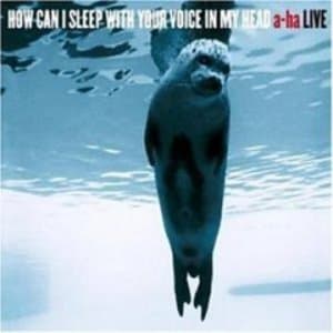 How can i sleep with your voice in my head (2CD)