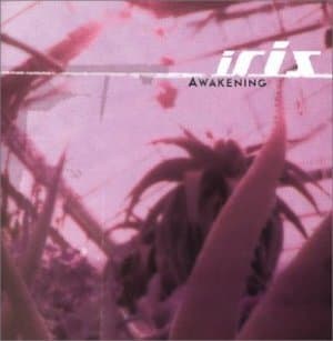 Awakening