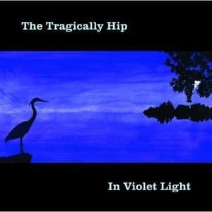 In Violet Light