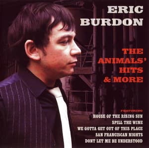 The Animals' Hits & More