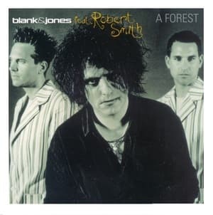 A Forest (CDS)