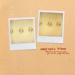 They'll Only Miss You When You Leave Songs 1996 - 2003