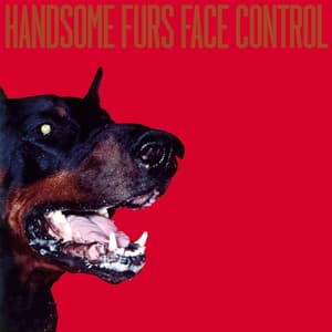 Face Control [sub Pop Records, Spcd 790]