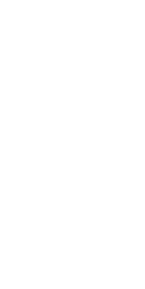 Neon Genesis Evangelion