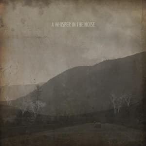 A Whisper In The Noise