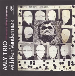 I Wonder If I Was Screaming